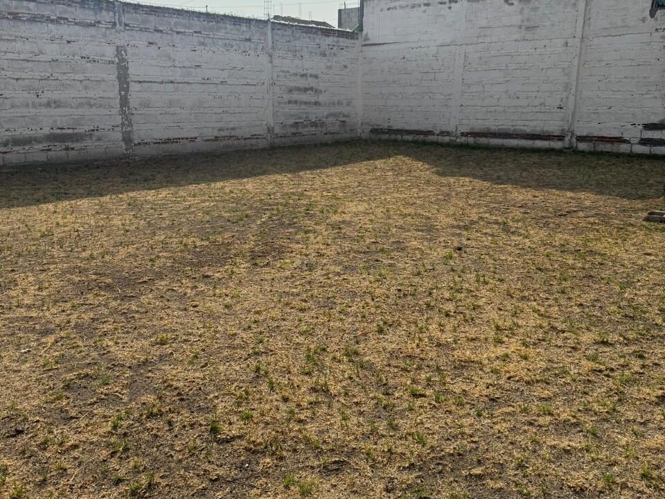 1000103339